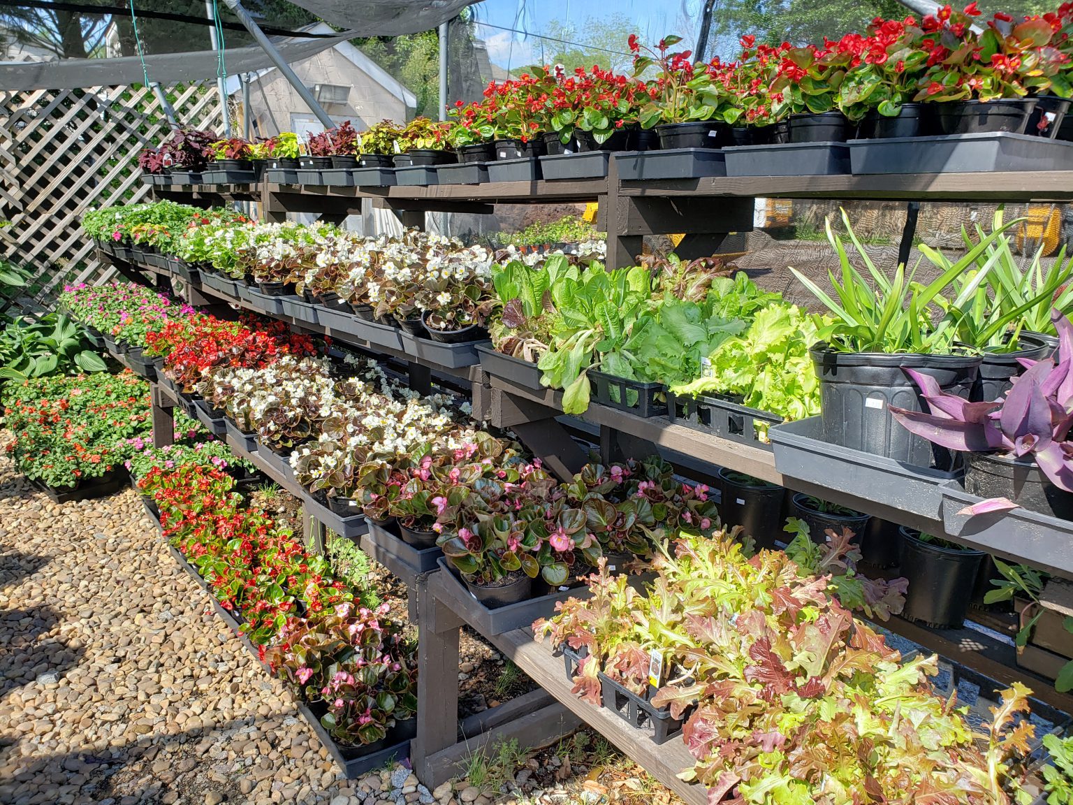 Garden Center | Norfolk - Eggleston Services VA