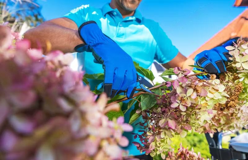 Man pruning plants in a garden to prepare for the fall season