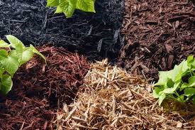 Close-up of various types of mulch used for winter lawn care, showcasing how mulching leaves can protect soil and plants during colder seasons while improving lawn health.